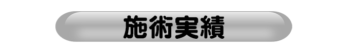 施術実績