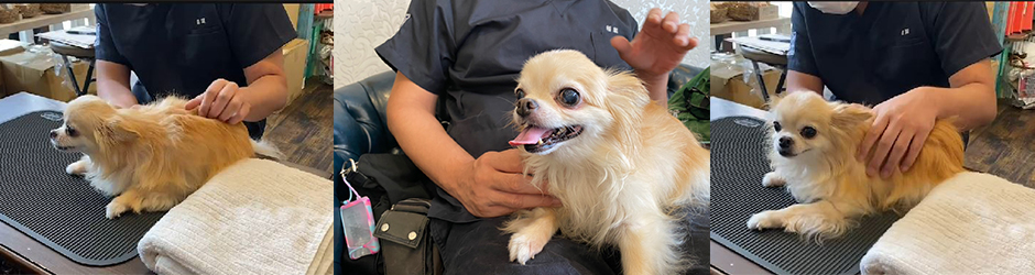 ヨタヨタ歩きが気になる症状