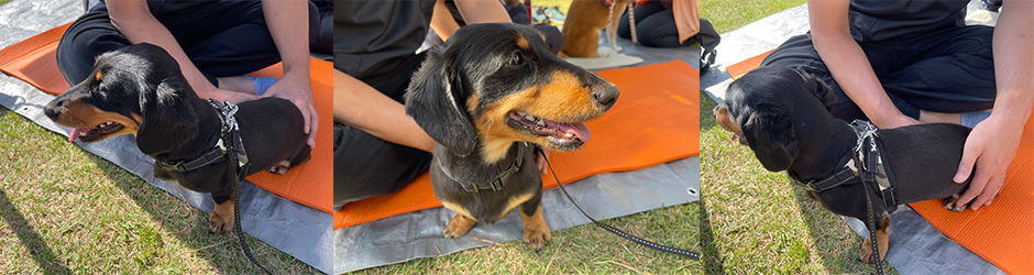ジャンプしすぎで脚腰心配