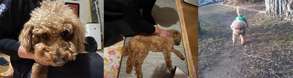 6歳急に寝たきり